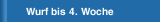 Wurf bis 4. Woche